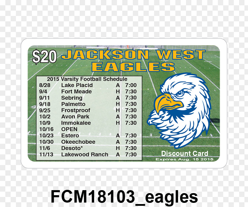 Discount Cards Bald Eagle United States Text Patriotism Zazzle PNG