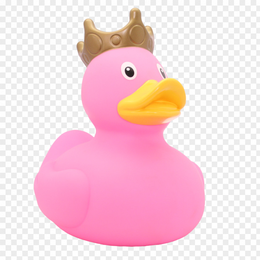 Duck Rubber Natural Yellow Toy PNG