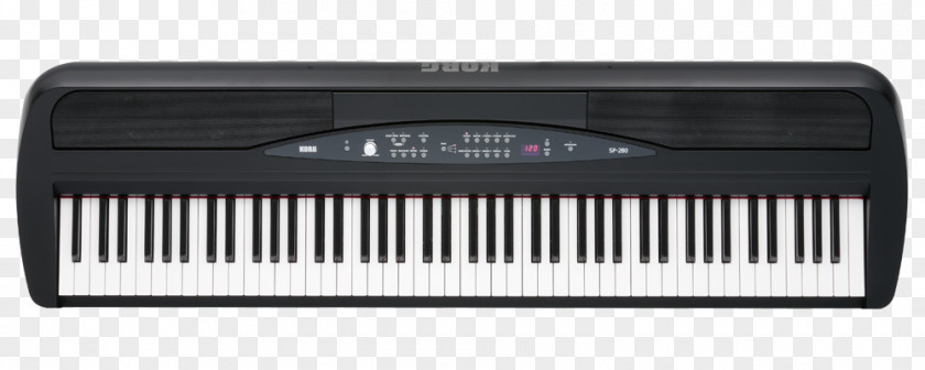 Electronic Piano Digital Korg Stage Musical Keyboard PNG