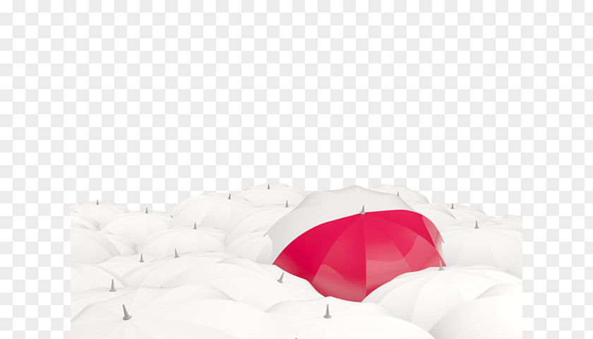 Flag Poland Of Illustration Vector Graphics PNG