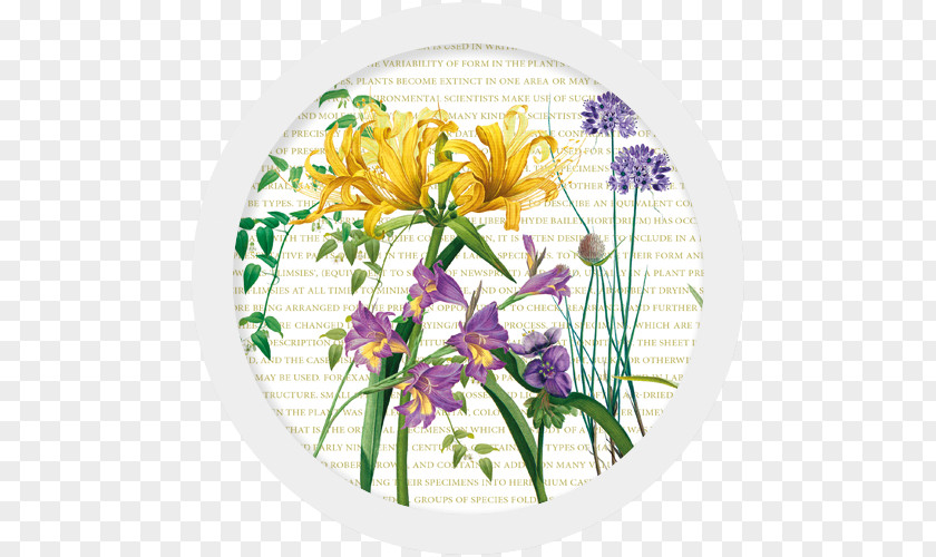 Flower Floral Design Cut Flowers Bouquet Graphic Arts PNG
