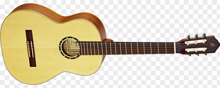 Acoustic Guitar Classical Ibanez Acoustic-electric PNG