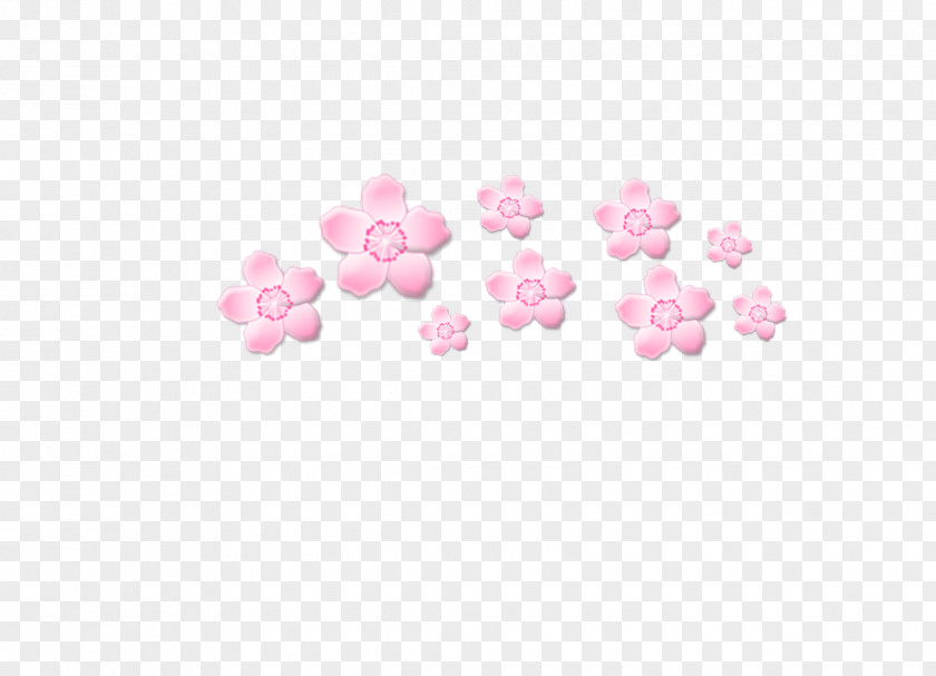 Cute Paper Drawing Flower PNG