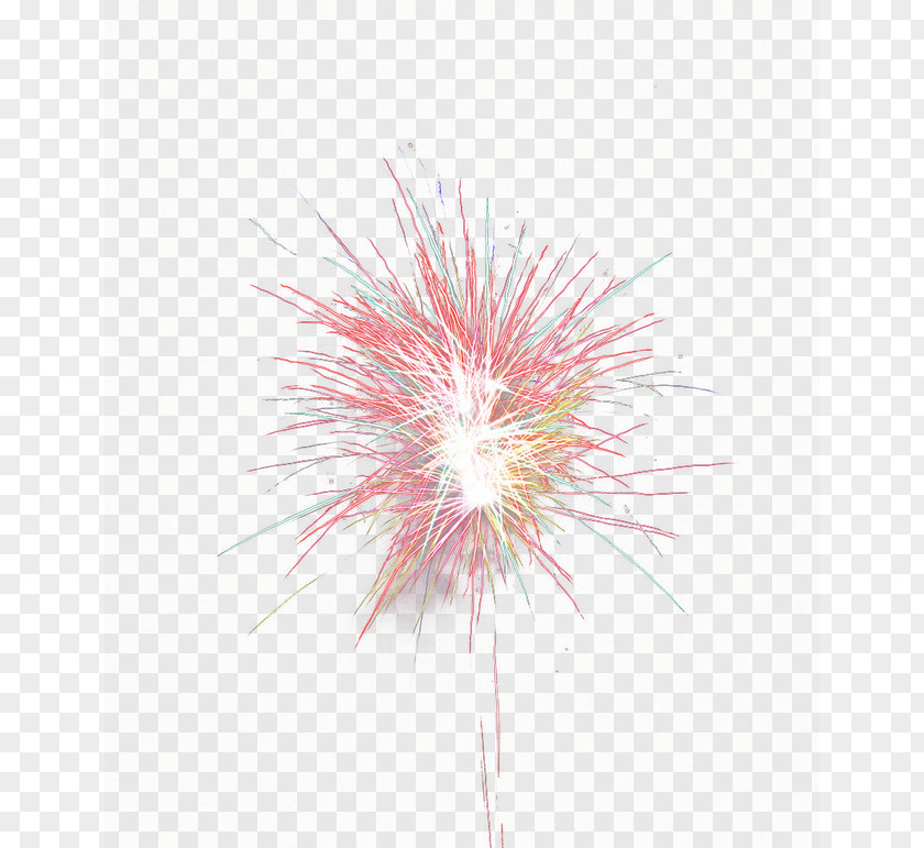 Fireworks Mooncake Petal Pattern PNG