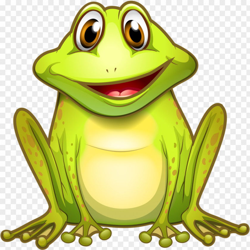 Gray Treefrog Smile Frog Cartoon PNG