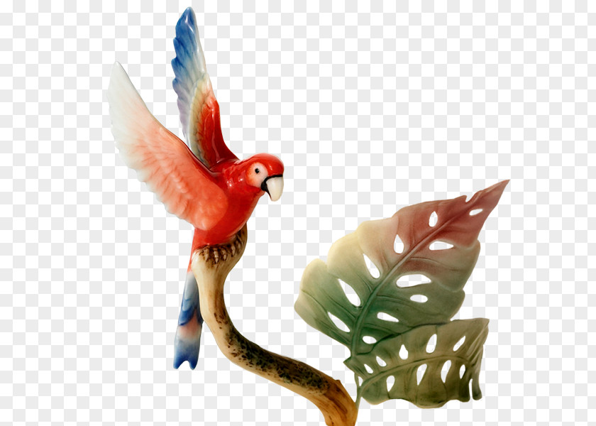 Parrot Macaw Amazon Icon PNG