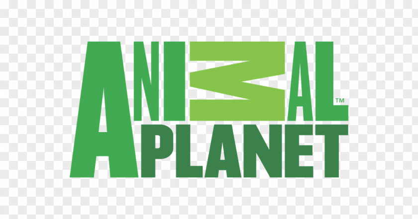 Planet Express Animal Logo Television Channel Show PNG