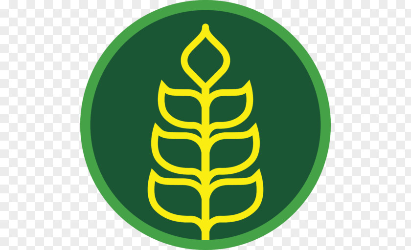 Tree Green Organic Food Logo Clip Art PNG