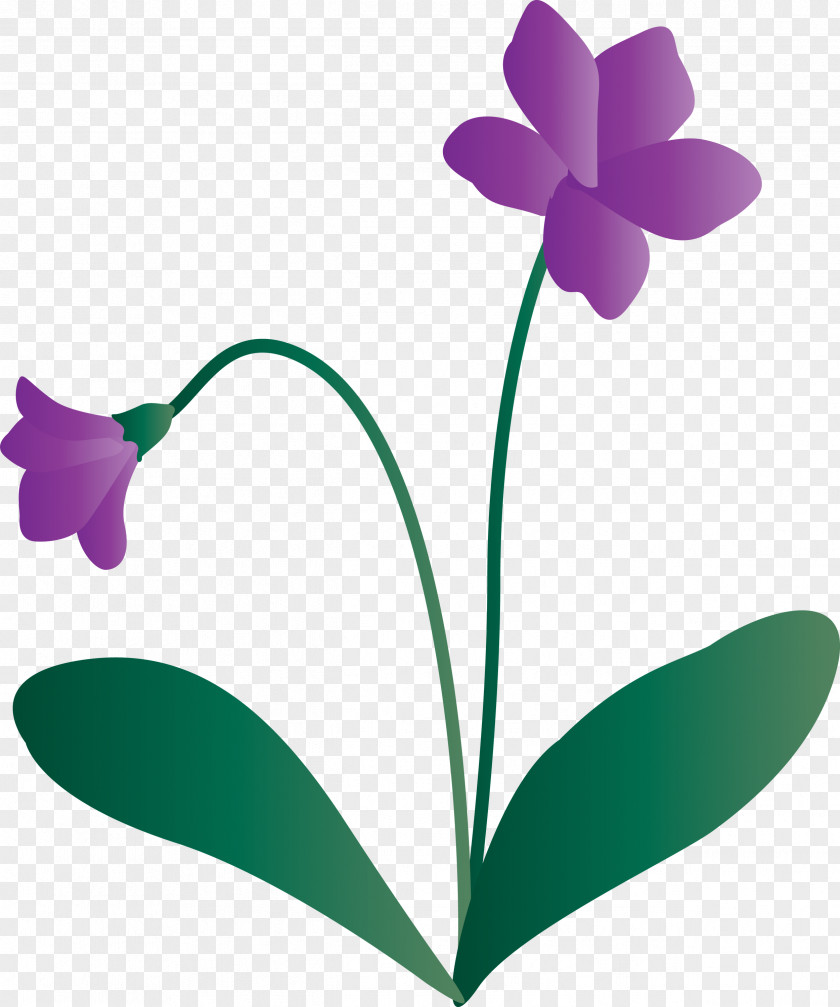 Violet Flower PNG