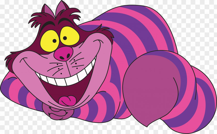 Alice In Wonderland Alice's Adventures Cheshire Cat Queen Of Hearts The Mad Hatter PNG