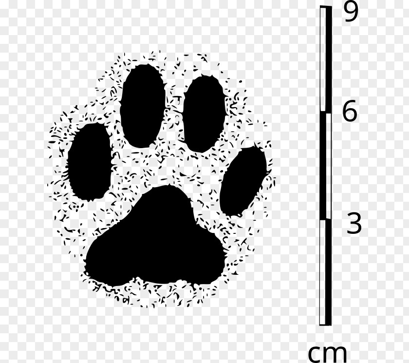 Cat Chihuahua Paw Pet Dog Grooming PNG
