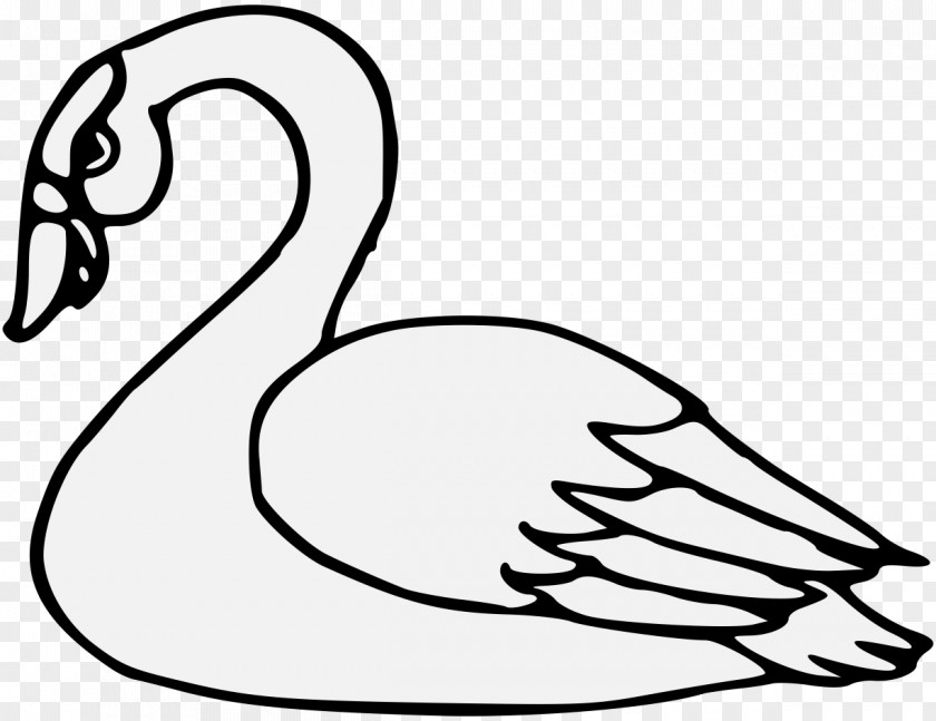 Duck Bird Goose Anatidae PNG