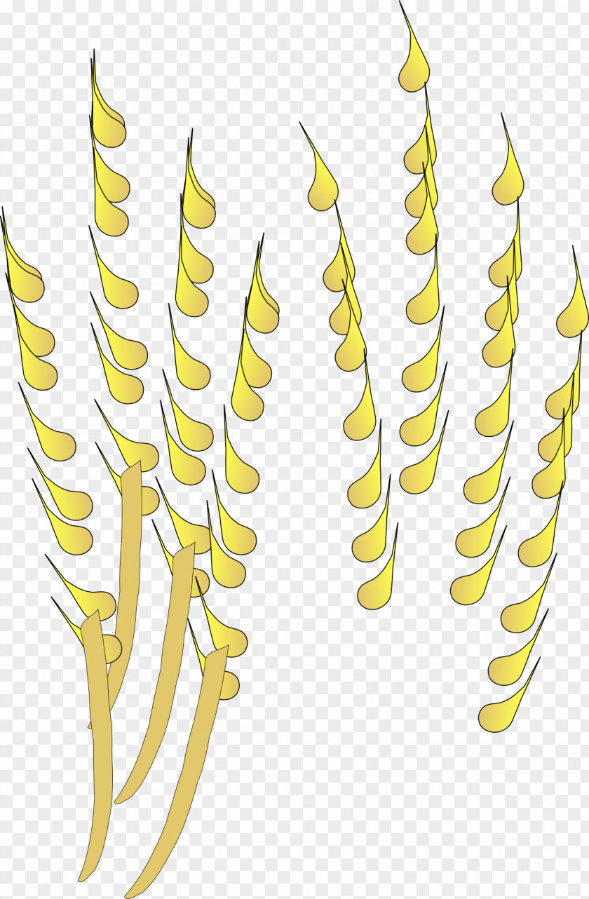Golden Wheat Cereal Pixabay Clip Art PNG