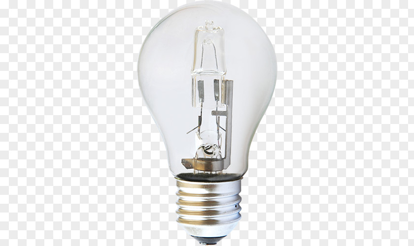 Light Incandescent Bulb Lighting Halogen Lamp LED PNG