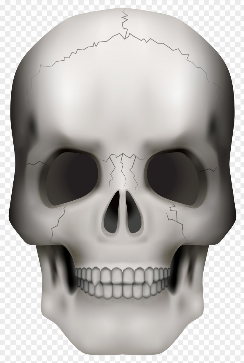 Skull Frame Cliparts Skeleton Clip Art PNG
