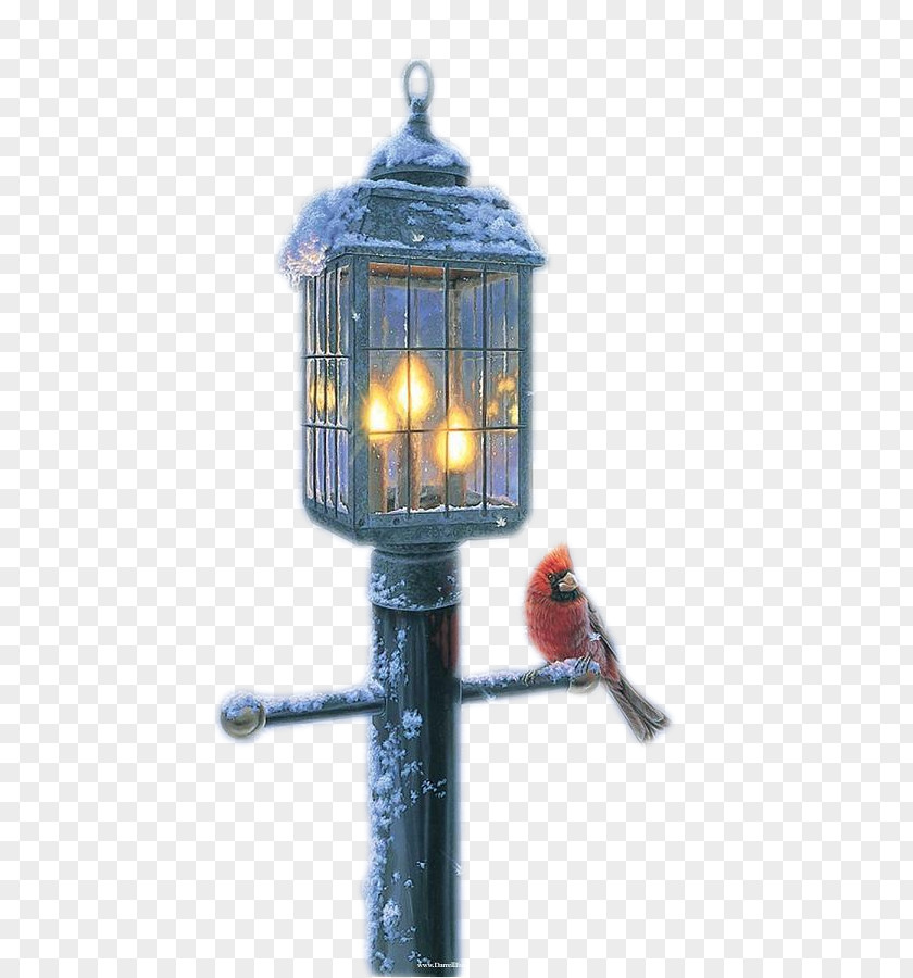 Street Light Lighting Christmas Letter Box PNG