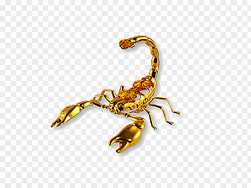 Golden Lobster Scorpion Amulet Talisman Zodiac PNG