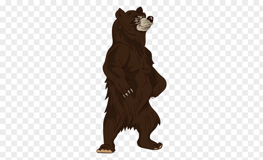 Cao Grizzly Bear American Black Drawing PNG