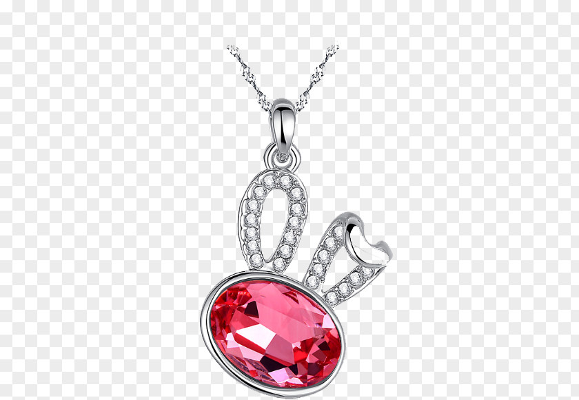 Exquisite Necklace Locket Vecteur PNG