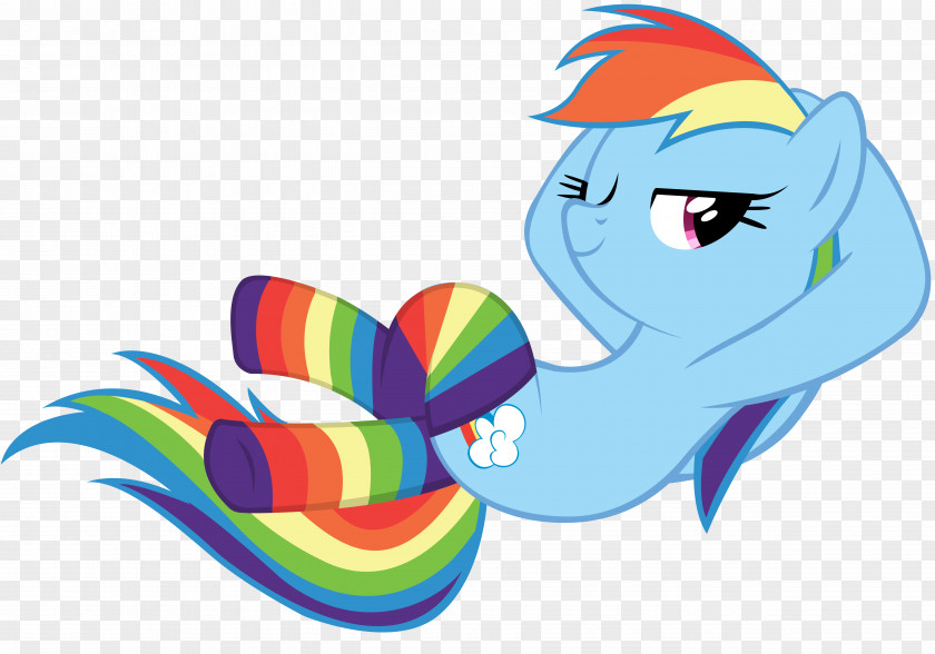 Socks Rainbow Dash Pinkie Pie Rarity Twilight Sparkle Applejack PNG