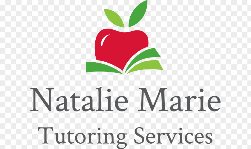 Tutoring Services Abbe Museum South Sanpete School District Nursery Child Care PNG