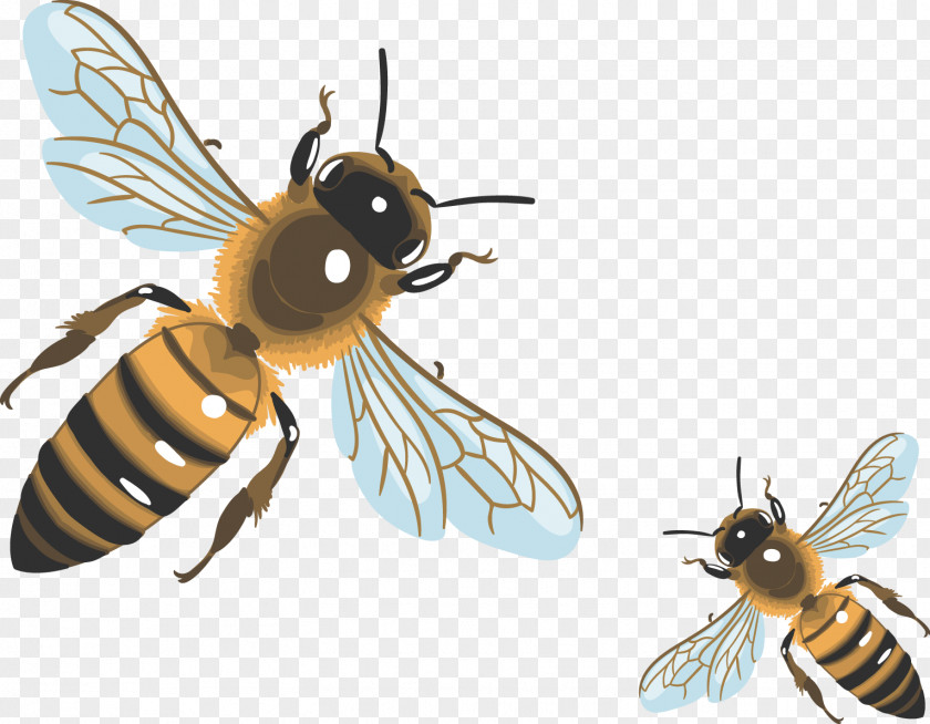 Vector Painted Bee PNG
