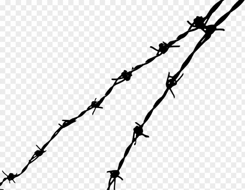 Wire Barbed Clip Art PNG