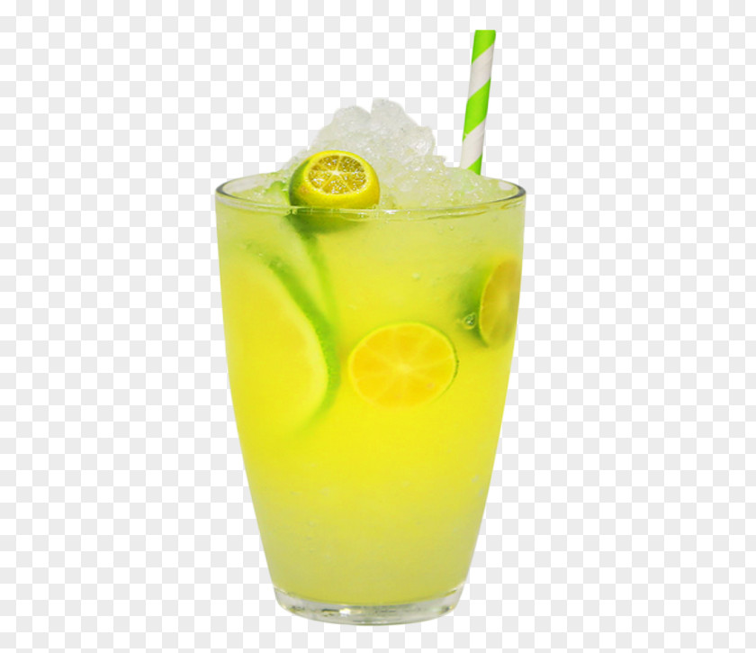 Delicious Kumquat Lemon Juice Material Picture Iced Tea Smoothie Lemonade Green PNG