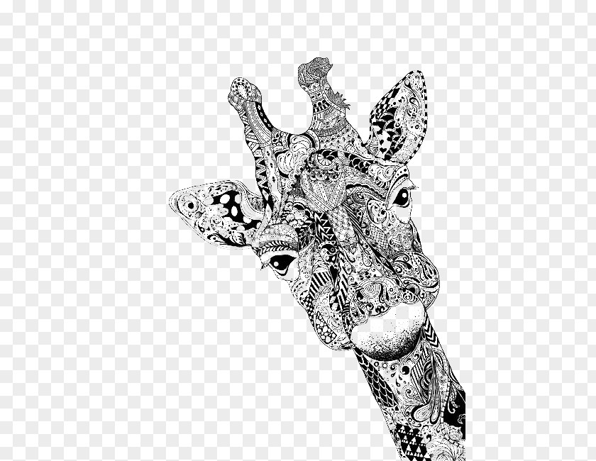 Giraffe Drawing Portrait Doodle Sketch PNG