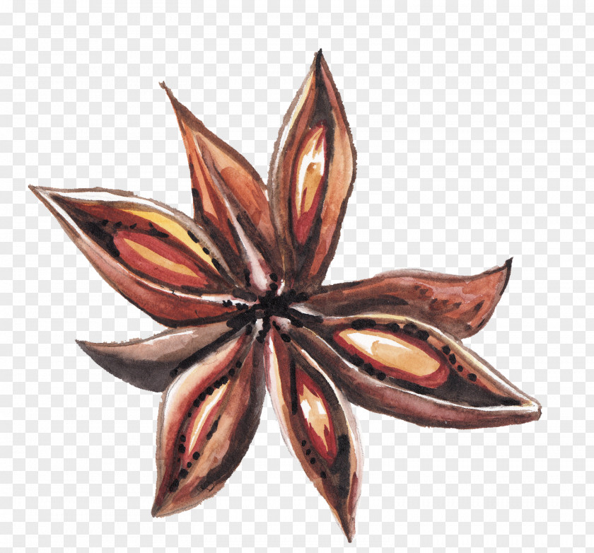 Hand-painted Octagonal Red Cooking Star Anise Spice Zefir PNG