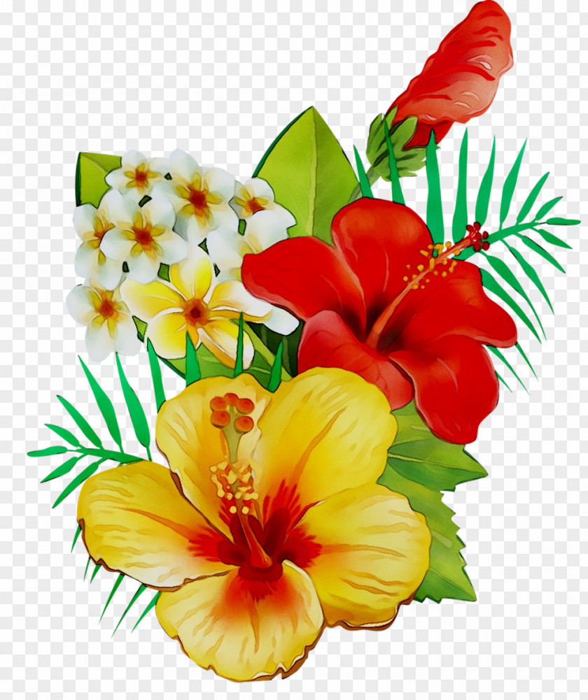 Rosemallows Floral Design Cut Flowers Flower Bouquet PNG