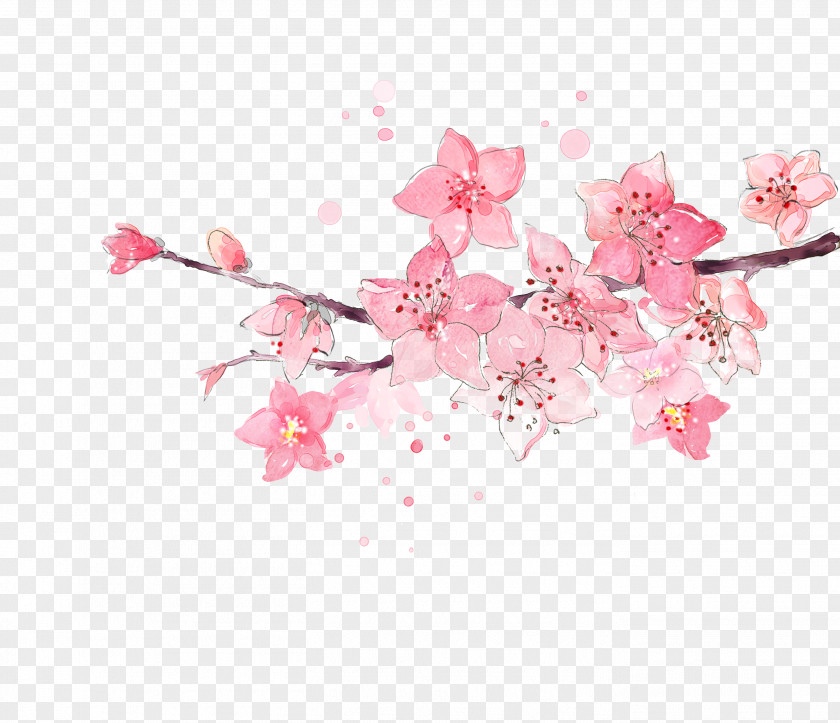 Watercolor Cherry Peach Flower PNG