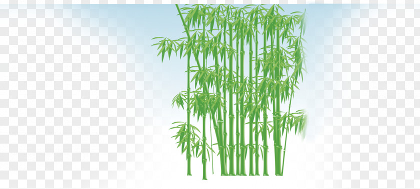 Bamboo Bamboe Gratis PNG