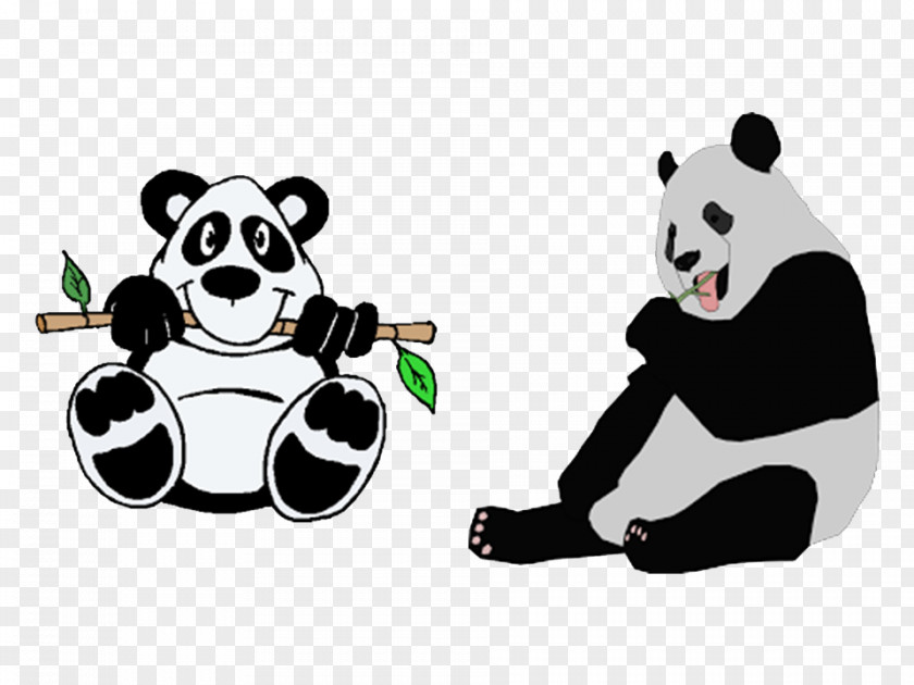 Bear Giant Panda Drawing Cartoon Image PNG
