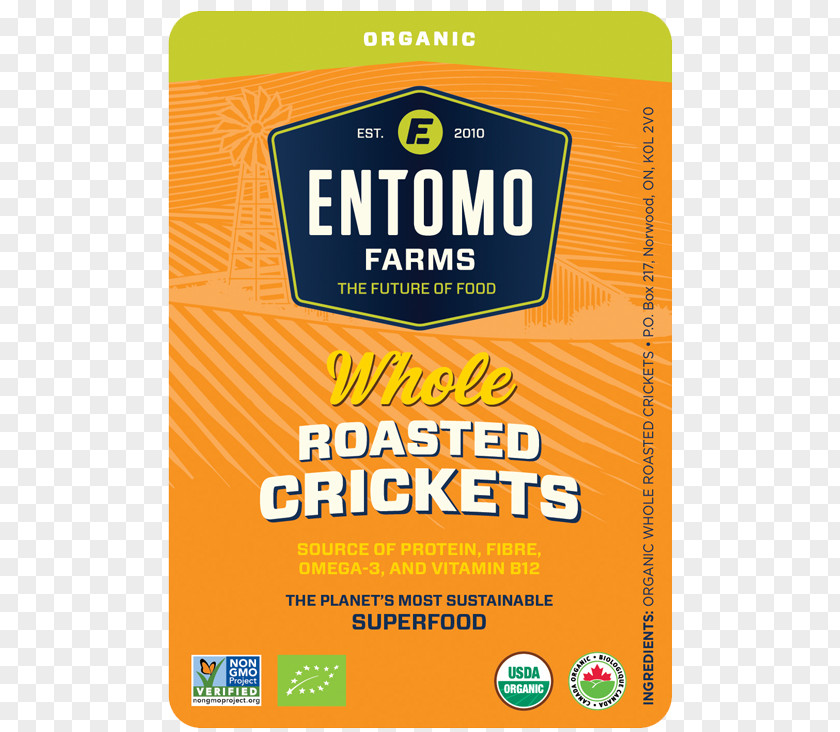 Insect Cricket Flour Entomophagy Food Powder PNG