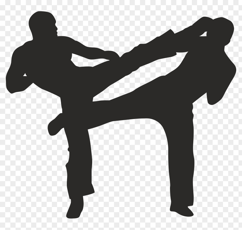 Silhouette Mixed Martial Arts Kickboxing PNG