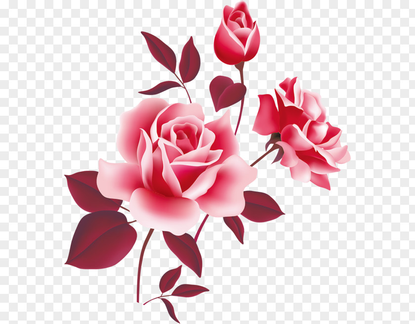 Vector Floral Flowers Rose Pink Free Clip Art PNG