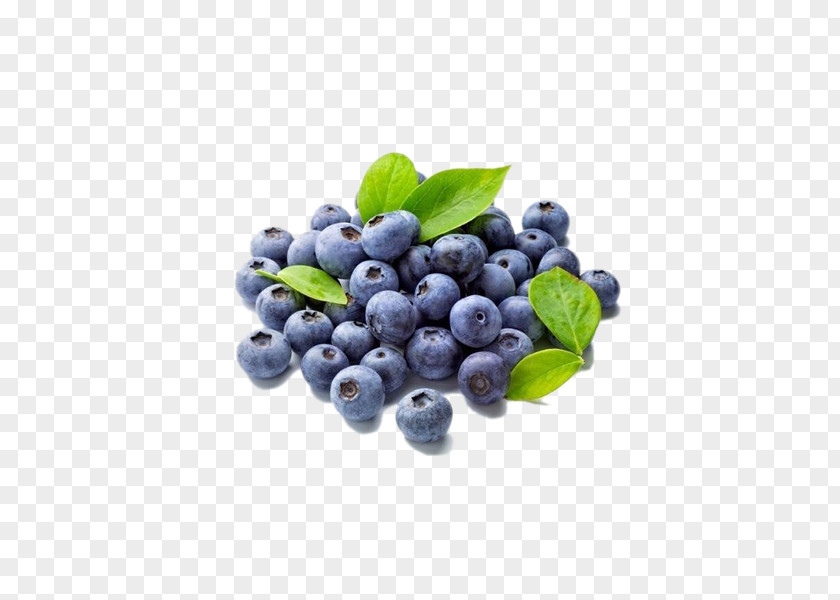 Berry Bilberry Fruit Food Blueberry PNG