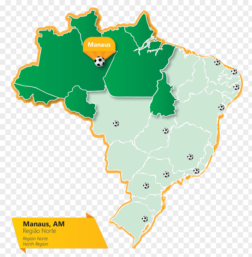 Brazil Cup Acre Rondônia Roraima Pará South Amazonas PNG