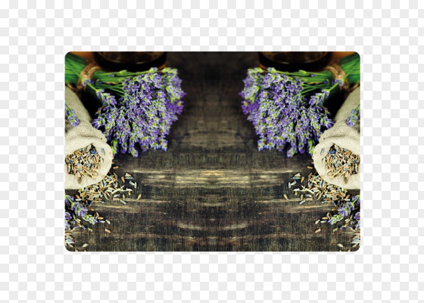 Oil English Lavender Essential Massage Flower PNG