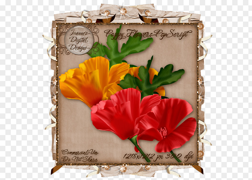 Santa Claus Rosemallows Floral Design Picture Frames PNG