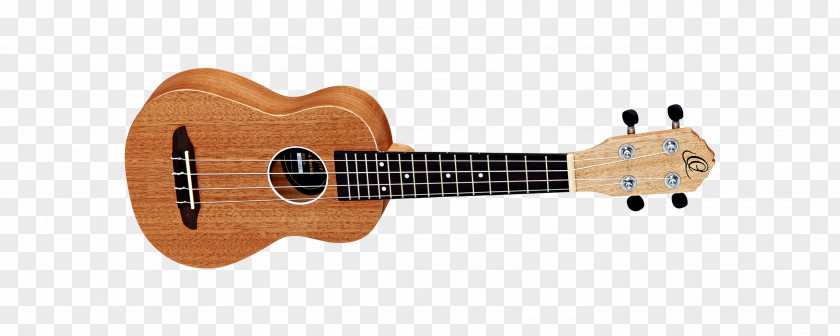 Amancio Ortega Steel-string Acoustic Guitar String Instruments Musical PNG