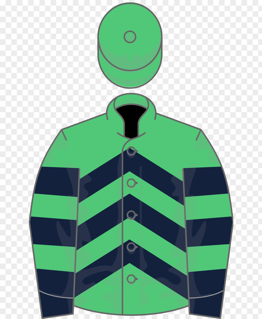 Blueberry 2006 Grand National Aintree Racecourse 1999 1964 Horse Racing PNG