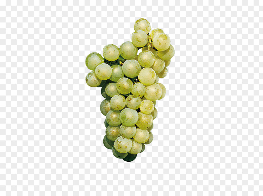 Grape Sauvignon Blanc Cabernet Chardonnay White Wine PNG