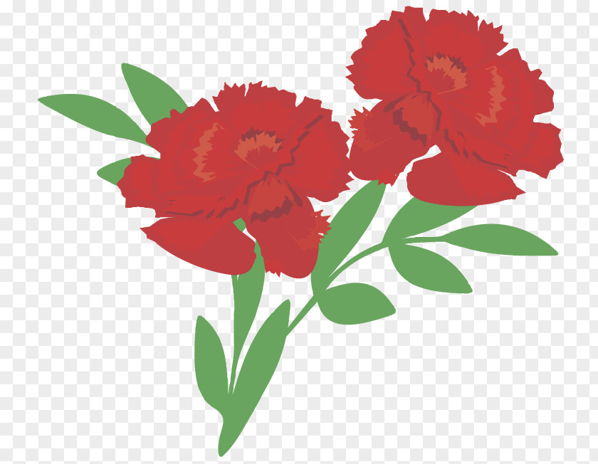 Kuckuskaranfil Carnation Clip Art Image Openclipart Flower PNG