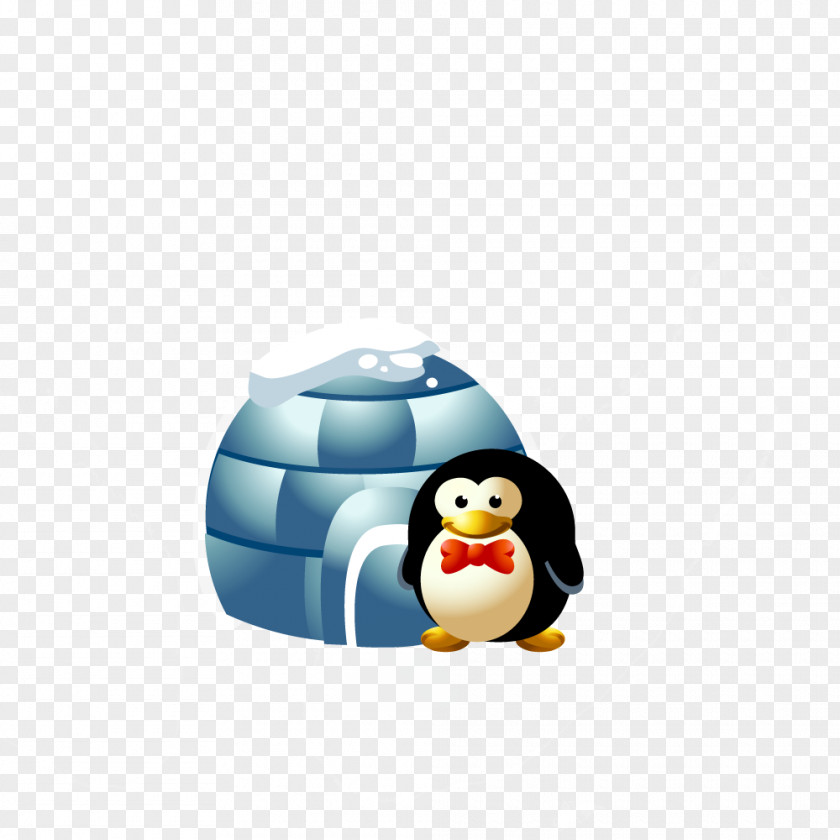 Little Penguin Arctic Cartoon Animation PNG