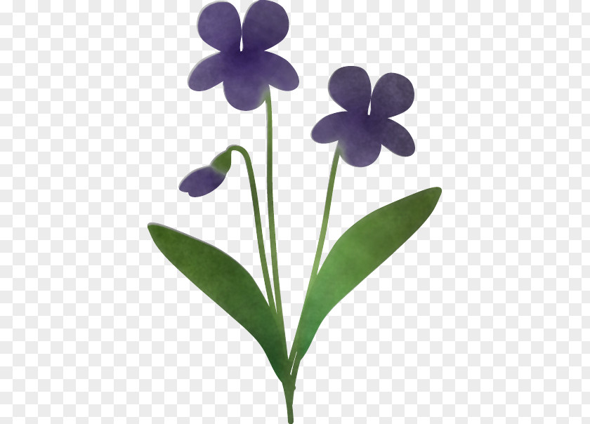 Plant Stem Viola Plants Science Biology PNG