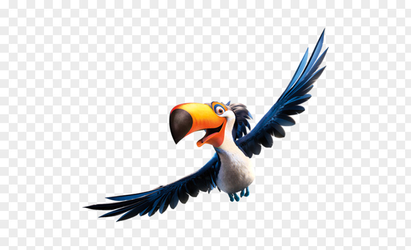 Rio2 Rafael 3 Hornbill Macaw Parrot Vulture Wing PNG