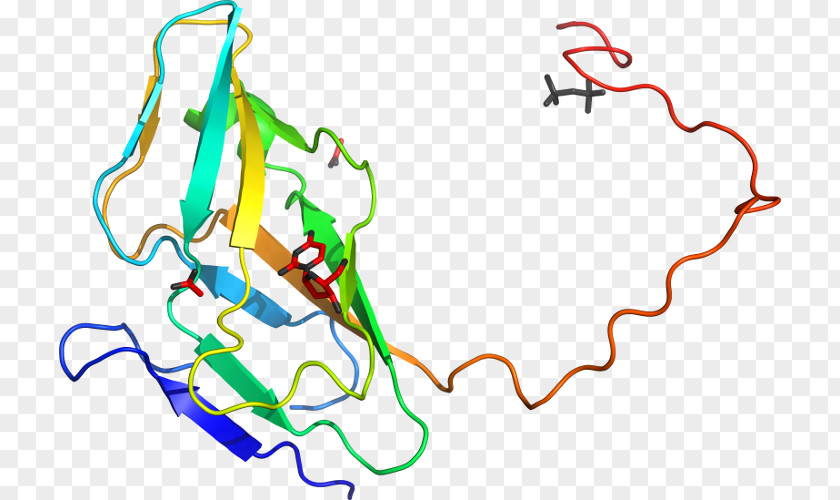 Subtilis Hay Bacillus Megaterium Clip Art Bacteria Genome PNG