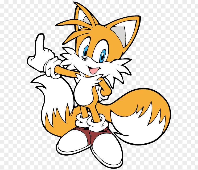 Tails Sonic Rush Adventure Shadow The Hedgehog Ariciul PNG